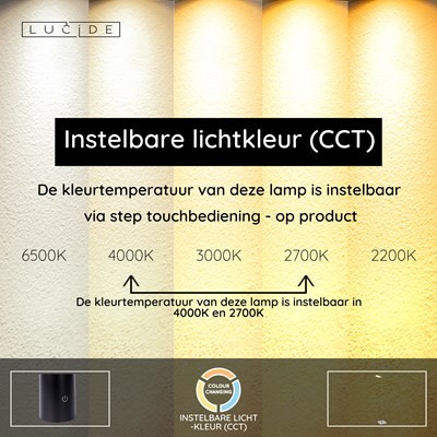 Lucide AARON - Leeslamp - LED Dimb. - CCT - 1x12W 2700K/4000K - Chroom